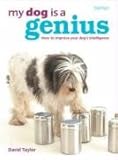 My dog is a genius : understand and improve your dog's intelligence