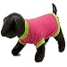 Dickens' Closet Good Times Solid T-Shirt in Pink & Lime, XX-Small