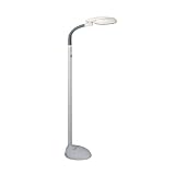 EasyEye Floor Lamp with Ionizer by Games & Gadgets