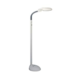 EasyEye Floor Lamp with Ionizer by Sunpentown