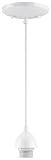Westinghouse Lighting 7028600 Single-Light Mini-Pendant Kit with White Finish