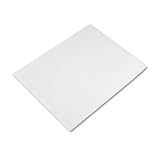 Riverside Paper 104225 White Poster Board, Four-Ply, 22 x 28, 100 Boards/Carton