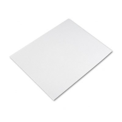 Riverside Paper 104225 White Poster Board, Four-Ply, 22 x 28, 100 Boards/Carton