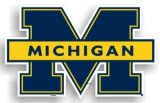 Michigan Wolverines 12 Car Magnet - COLLEGE ATHLETICS Sports Merchandise
