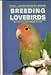 Breeding Lovebirds