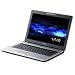 Sony VAIO VGN-FJ170P/B 14.1" Laptop (1.73 GHz Intel Pentium M 740, 512 MB RAM, 100 GB Hard Drive, Dual-Layer DVD Super Multi-Drive)