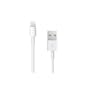 Apple Cable Data USB pour Apple iPhone 5