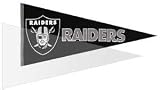 BCW Pennant Sleeve (50 Ct. Pack) - Baseball, Football, Basketball, Hockey, Nascar, Sportscards, Gaming & Trading Cards Collecting Supplies