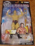 WWE JAKKS TEST RUTHLESS AGGRESSION 8 FIGURE
