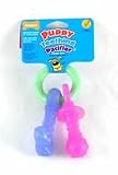 NYLABONE PUPPY TEETHING PACIFIER
