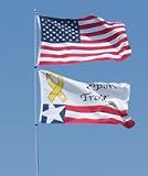20 Foot EXTRA Heavy Duty Fiberglass Flagpole By Telepole