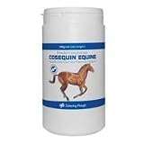 Cosequin Equine Powder