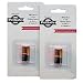 Petsafe RFA-18-11 6M 6 Volt Alkaline Battery - 2 Pack - 6M Supply