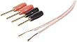 Belkin PureAV AV23002-25 25-Foot 18-Gauge Speaker Cable and Pins