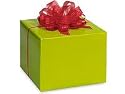 New Trendy Gloss Solid Lime Leaf Green Gift Wrap Wrapping Paper 17 Foot Roll - Bridal Wedding Anniversary Birthday