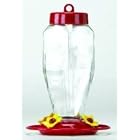 24OZ GLASS HUMMING RED by HOMESTEAD/GARDNER