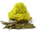Neem Base Oil 100mls Therapeutic Grade 100% Pure & Natural Azadriachta Indica PRICE INCS P&P A.T.C. Reg'd