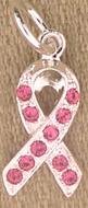 Breast Cancer Charm