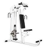 Pec Rear Delt Upper Body Gym