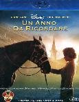 Un Anno Da Ricordare