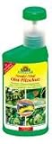 NEUDORFF - Neudo-Vital Obst-Pilzschutz 250 ml
