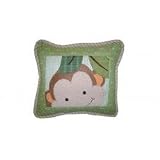 Papagayo Decorative Pillow