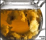 Teaposy Concert Series Winter Duet Flowering Blossoming Herbal Tea-12 Sachets