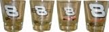 Dale Earnhardt Jr 4 Piece Set Of Shot Glass