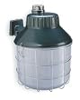 LumaPro 2LBL5 Security/Area Lighting, HPS, Watts 150