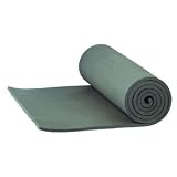ALPS Mountaineering Foam Camping Mat (Regular 625)