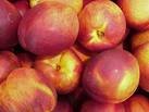 Dwarf Red Sunset Nectarine Tree Five Gallon