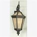 Quoizel Lighting, 33 in. Terra Bronze Petalo Traditional Extra Large Outdoor Wall Sconce-PT8755TB