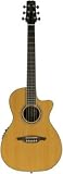 Wechter Guitars Nashville-tuned Special Elite Cutaway (Cedar C/A with Fishman PreSys+)