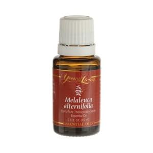 Melaleuca Essential Tea Tree Oil