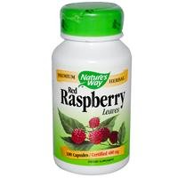 Nature's Way Red Raspberry Leaves , 480 mg, 100 Capsules