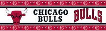 Chicago Bulls 5