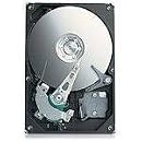 Seagate ST3250623A RK Barracuda 250 GB Ultra ATA 100 Internal Hard Drive
