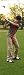 Golf Follow Through
Pivot Power