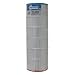 Filbur FC-2550 Antimicrobial Replacement Filter Cartridge for Sta-Rite TX 100 Pool and Spa Filter