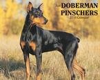 Just Doberman Pinschers 2010 Wall Calendar