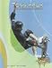 Tony Hawk: Skateboarding Legend (Edge Books Skateboarding)