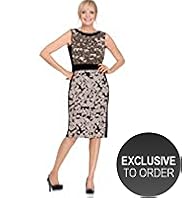 Twiggy for M&S Woman Ombre Floral Print Dress