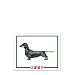 dachshund32 - Dachshund Card