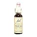 Wild Oat Tincture 20 ml, 0.70 fl. oz.