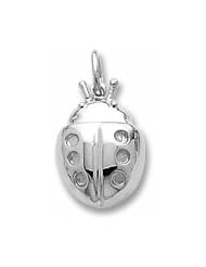 Ladybug Charm