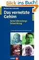 Das vernetzte Gehirn: Seine lebenslange Entwicklung