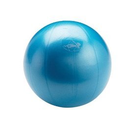 OPTP Franklin Air Ball Each
