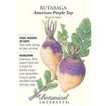 Rutabaga American Purple Top Seeds
