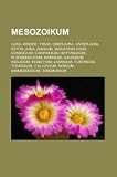 Produkt-Bild: Mesozoikum: Jura, Kreide, Trias, Oberjura, Unterjura, Mitteljura, Anisium, Maastrichtium, Coniacium, Campanium, Hettangium, Pliensbachium, Karnium, ... Tithonium, Callovium, Norium, Kimmeridgium