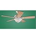 Hunter Fan Company